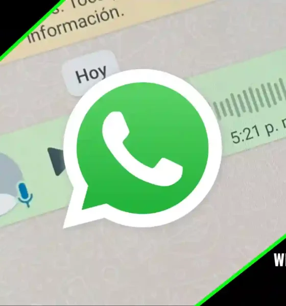 dónde se guardan los audios de Whatsapp