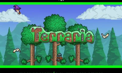 Guía: cómo arreglar el error de conexión perdida al unirse a amigos en Terraria